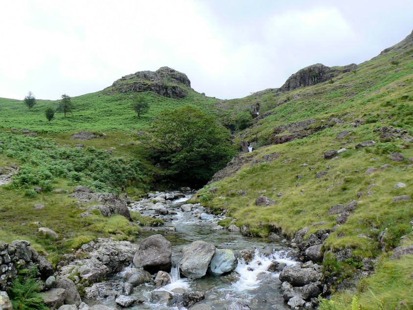 Lingcove Beck Lingcove Beck